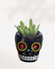 Sugar Skull Pots Black