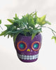 Sugar Skull Pots Purple