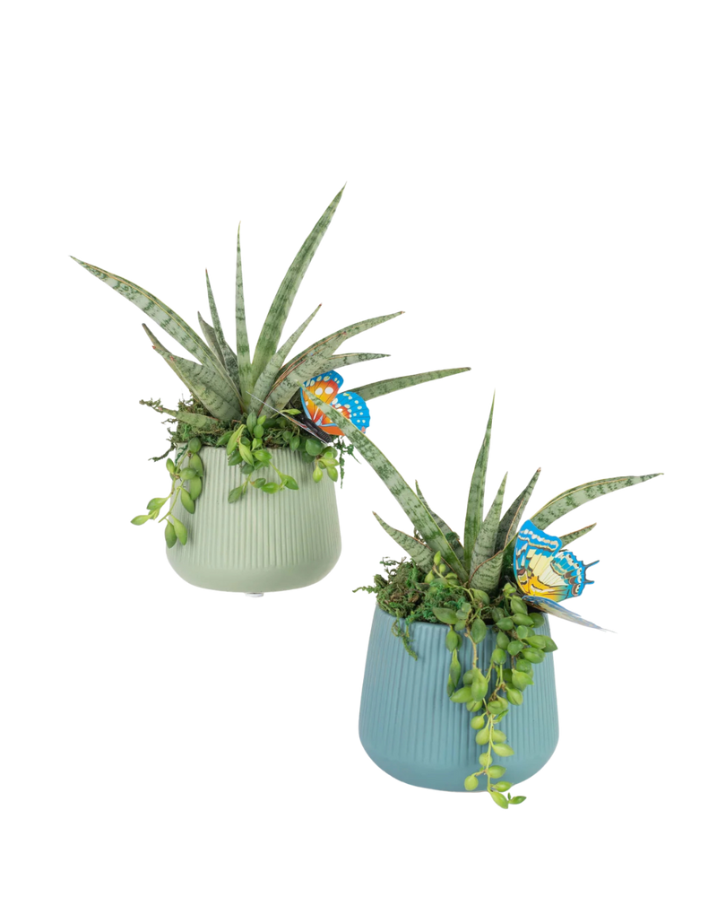 multicolumns-item-image-7