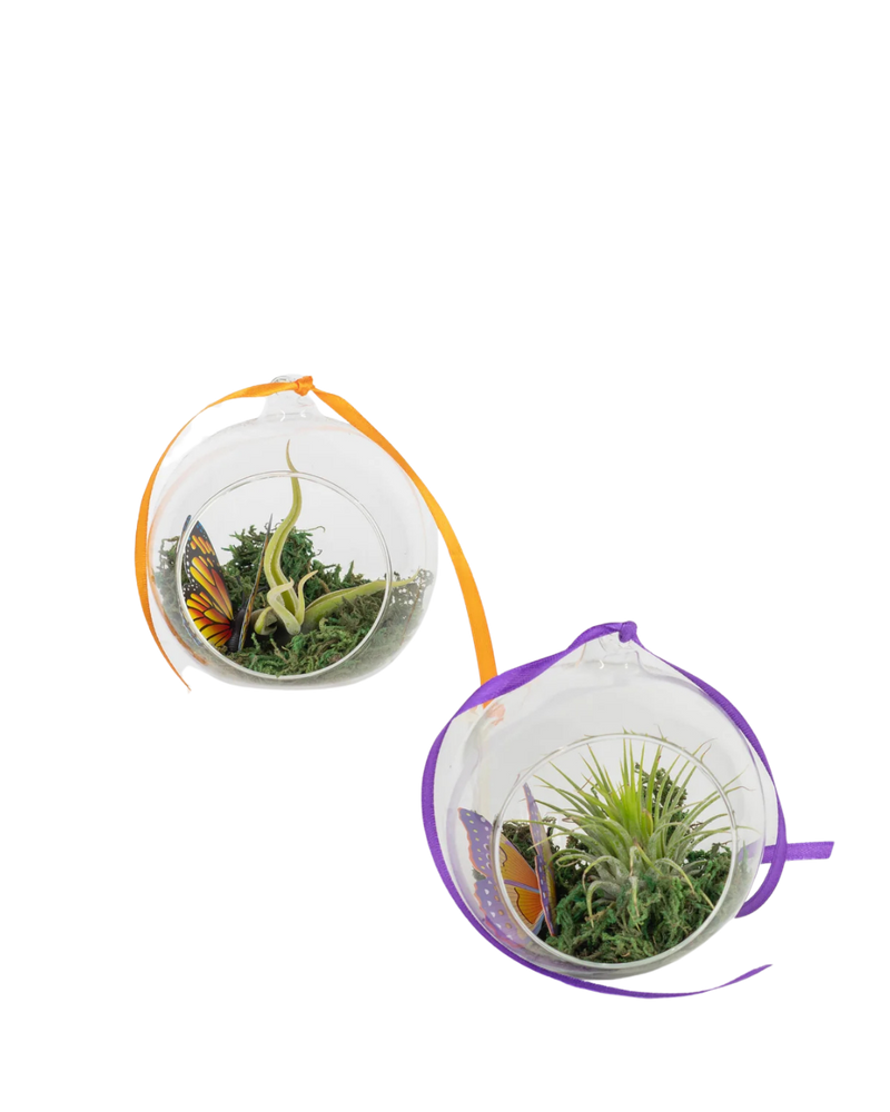 multicolumns-item-image-3