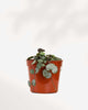 String of Hearts 2.5" Pot - XSmall | Buy Online