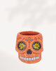 Sugar Skull Pots