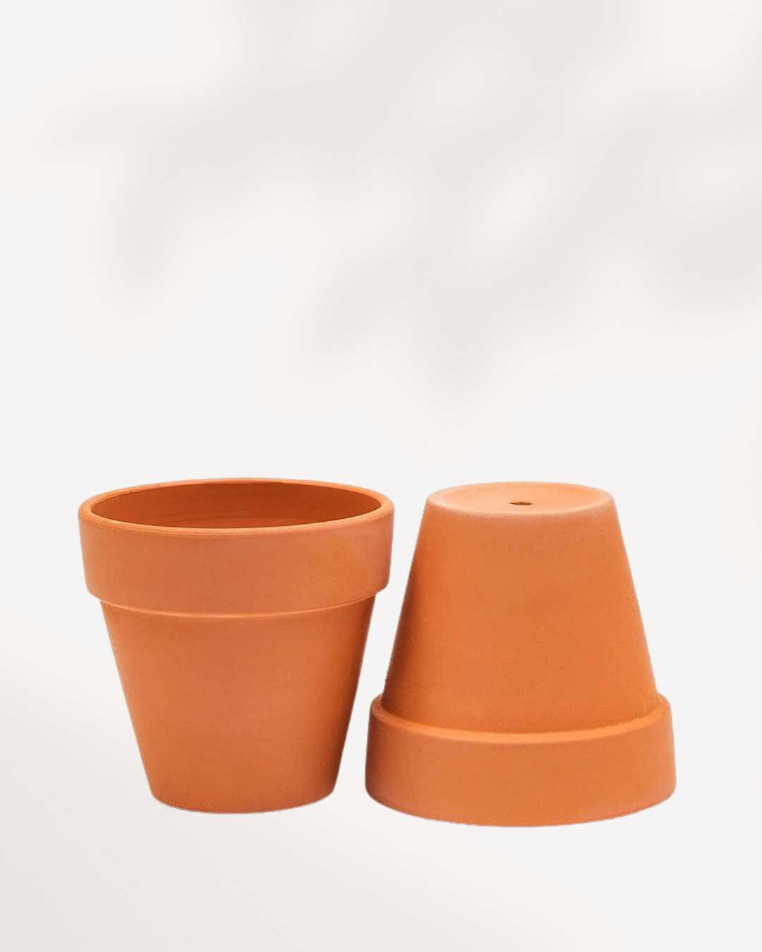 Rose Clay Terracotta Pot 2-Pack