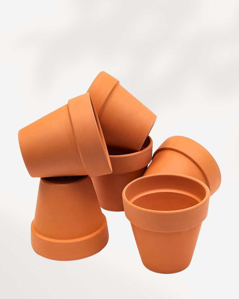 Rose Clay Terracotta Pot 3-Pack